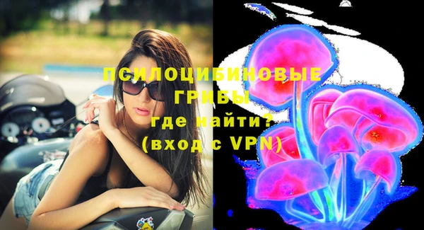 хмурый Вязники